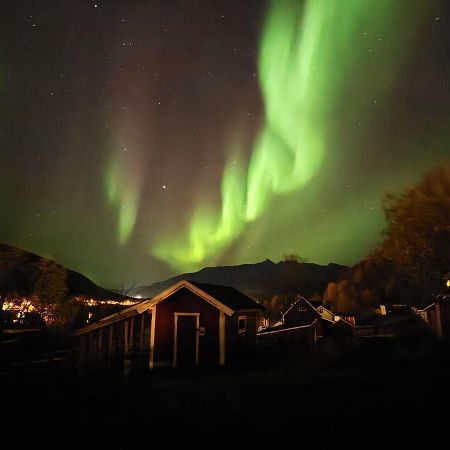 Koselig Dyregard I Tromso Hotel Exterior photo