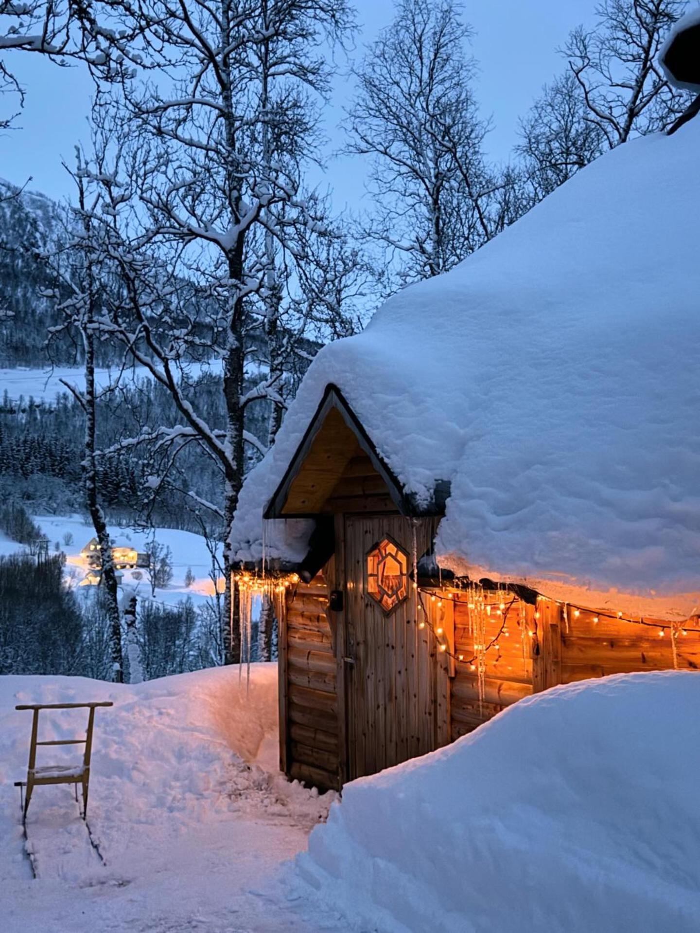Koselig Dyregard I Tromso Hotel Exterior photo