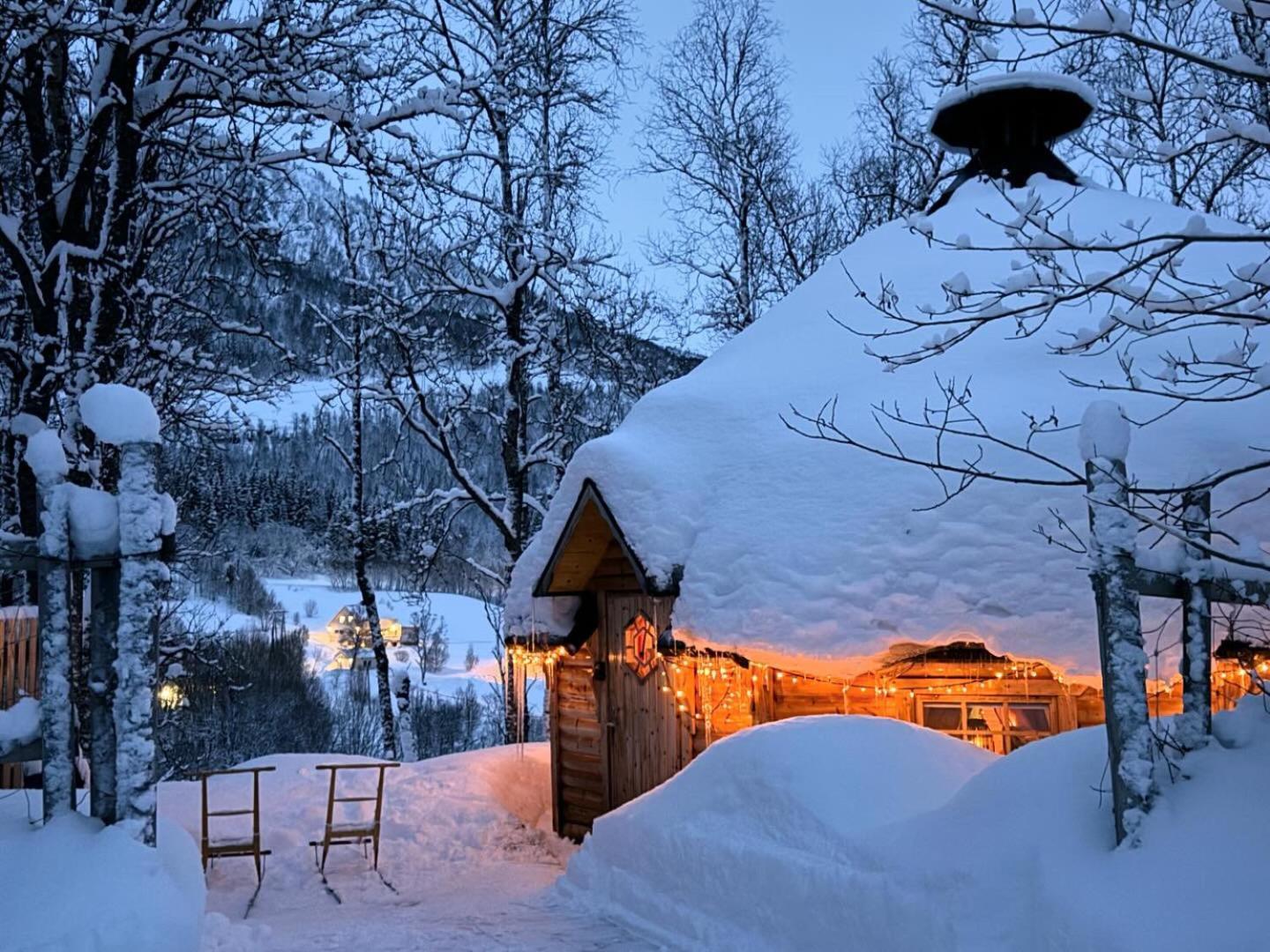 Koselig Dyregard I Tromso Hotel Exterior photo